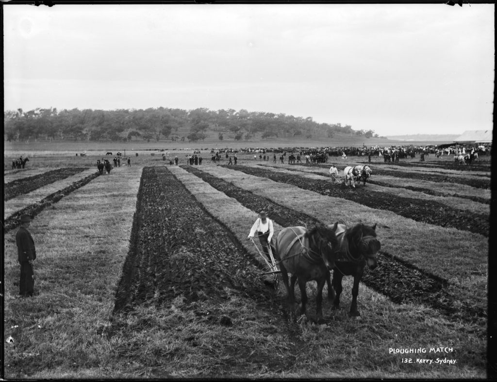 Black and white photograph showing rows of farmers ploughing sections of land in a field. Each plough is drawn by two horses. In the background there are crowds of people and horse-drawn vehicles are parked nearby